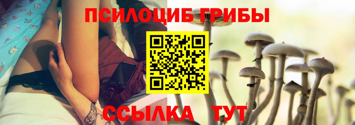 Луховицы  где купить   Вход с VPN  Галлюциногенные грибы Psilocybe 